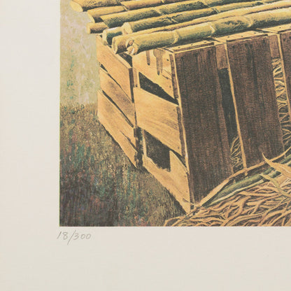 Sugar Cane Man